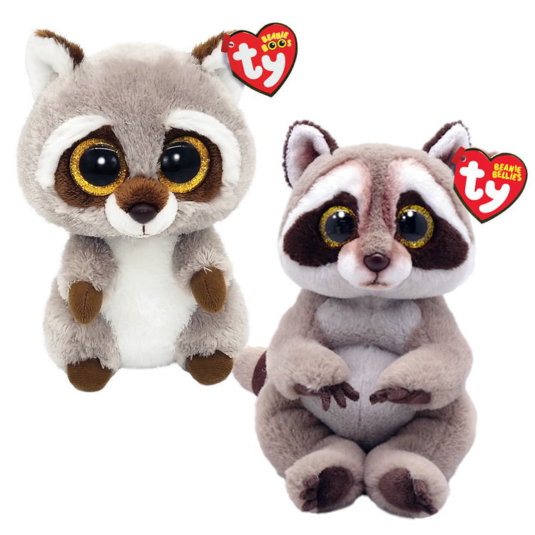 Raccoon Duo