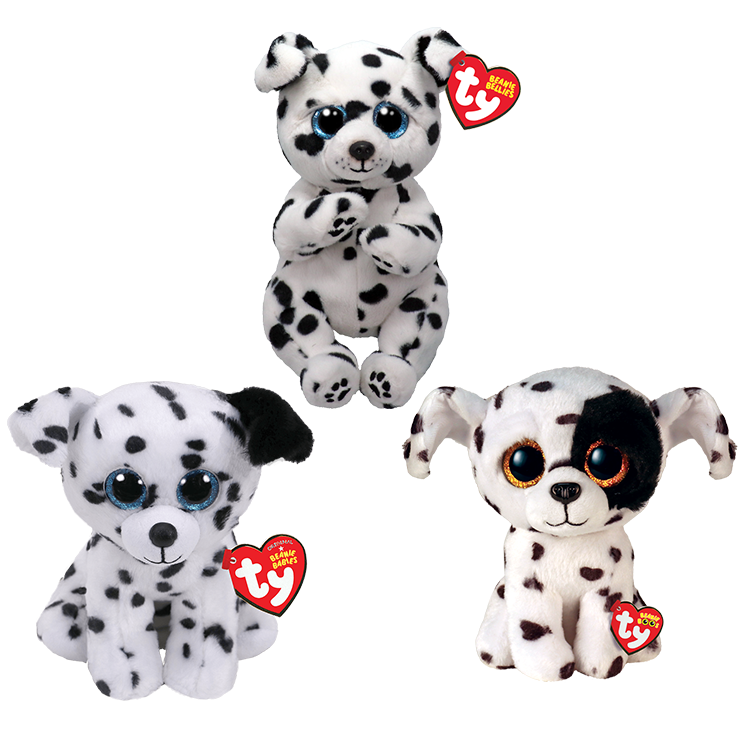 Dalmatian Bundle