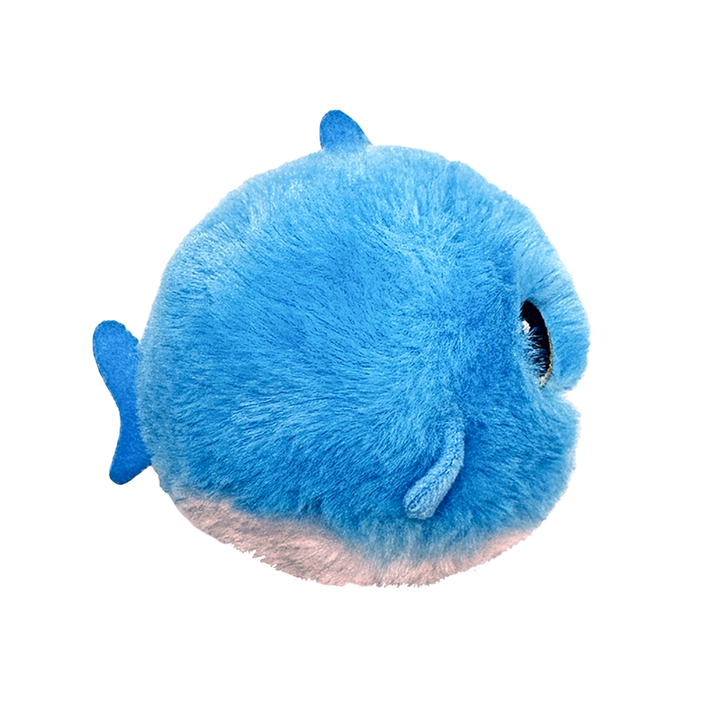 Fins