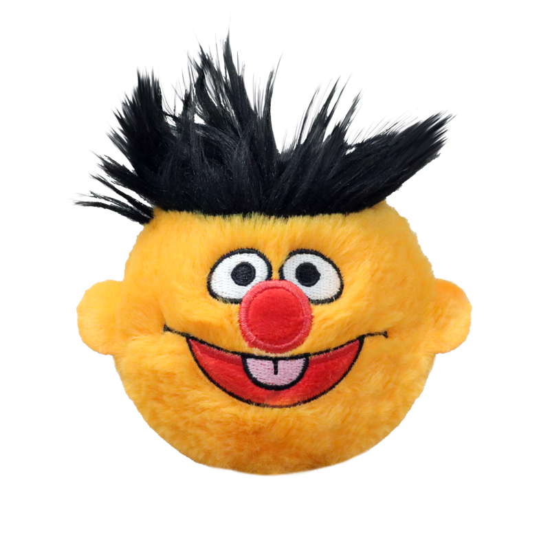 Ernie