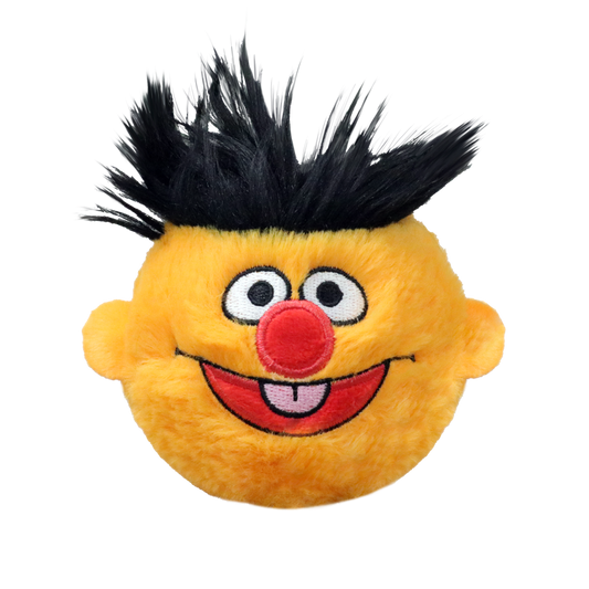 Ernie