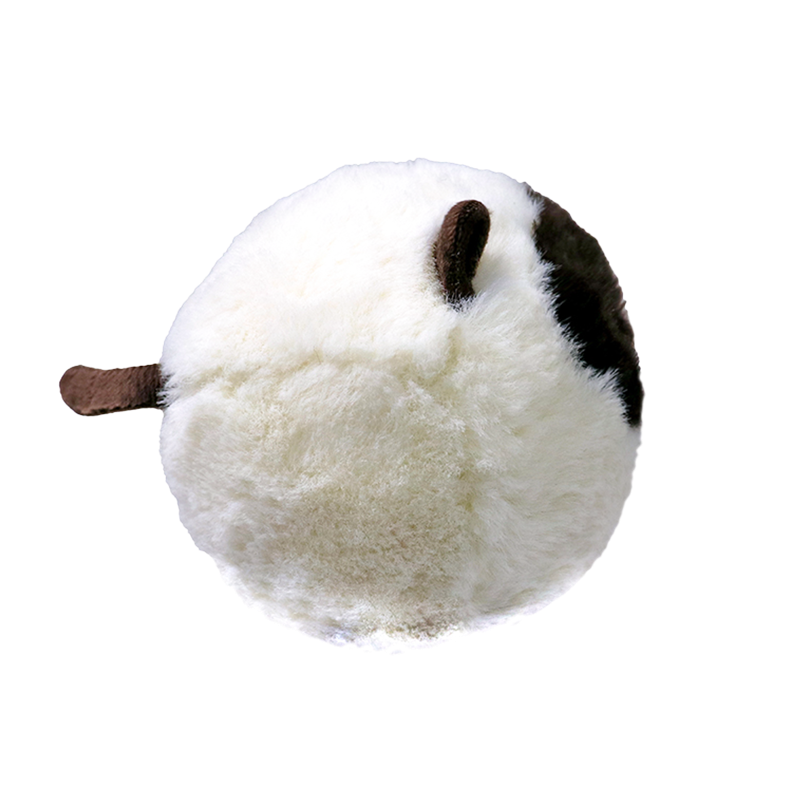 Sammy