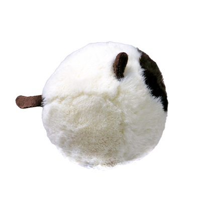 Sammy