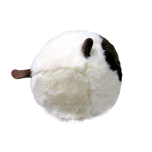 Sammy