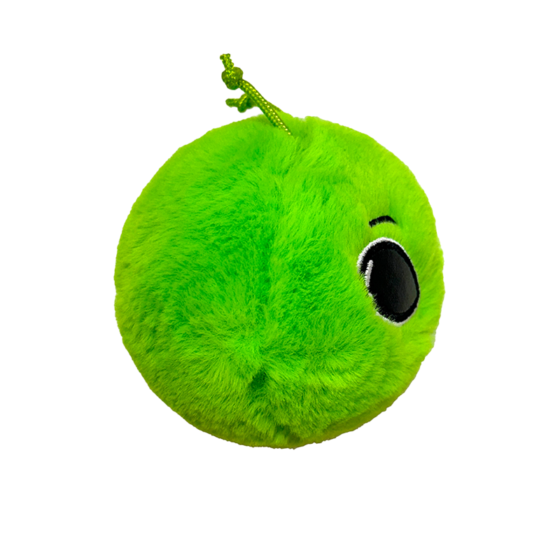 Sebastian