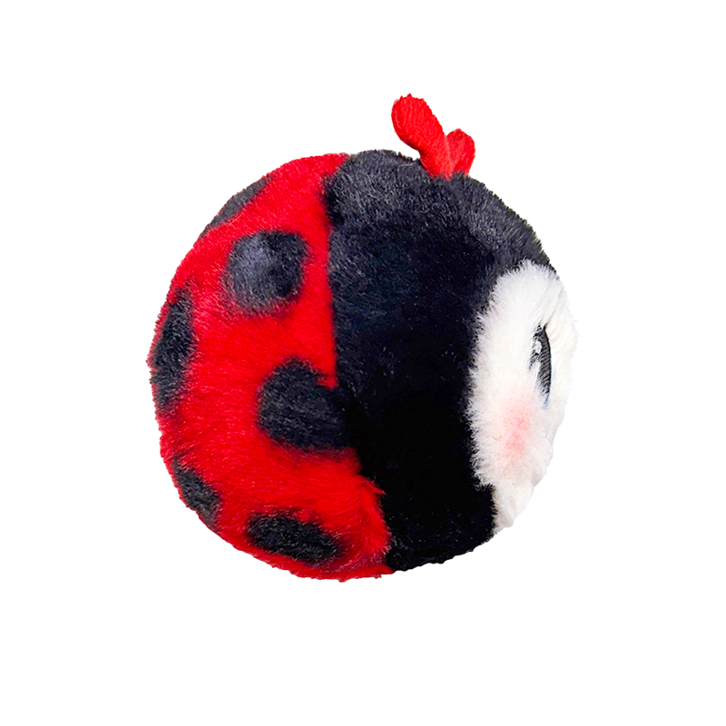 Buggie