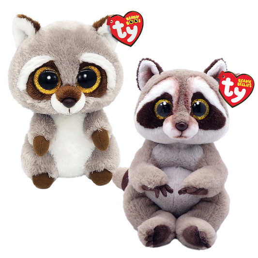 Raccoon Duo