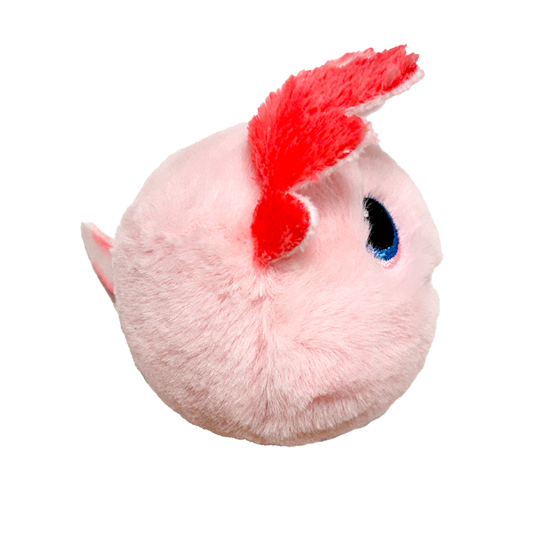 Gill